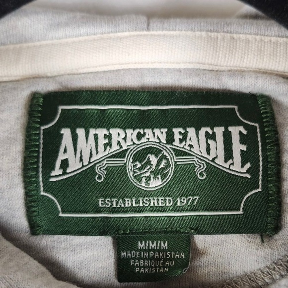 American Eagle Outfitters Hoodie Gray Bird Logo Pullover Sweatshirt Mens M - Picture 3 of 11
